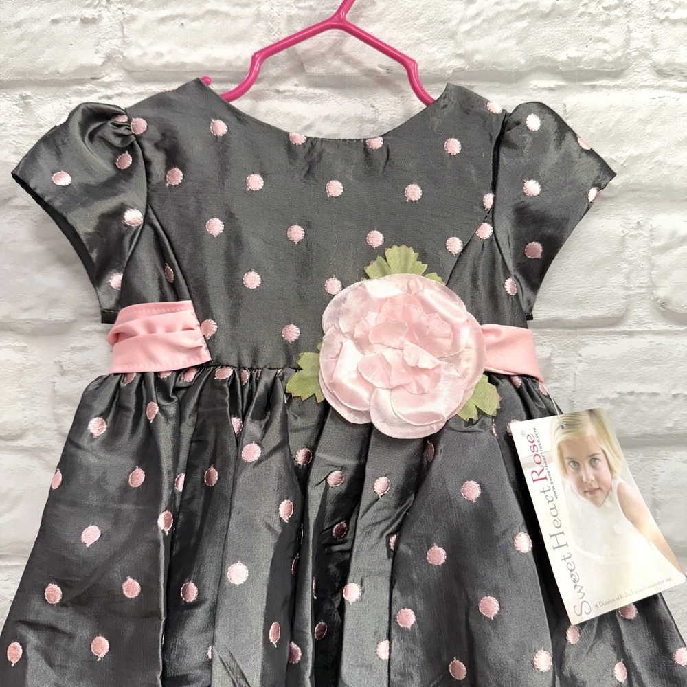 Sweetheart Rose Baby Girls Fancy Dress Gray Pink Rosette Lace Tulle Sz 24 Mn‎